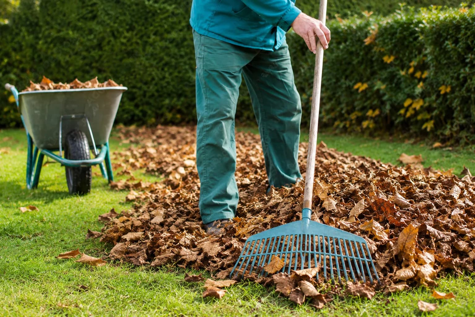 Laub entfernen im Garten